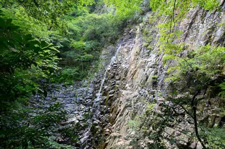 滝見台から見る銚子滝